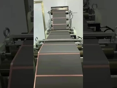 लिथियम आयन बैटरी बैटरी उत्पादन एक्सट्रूज़न स्लॉट मर कोटिंग मशीन